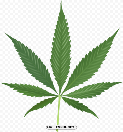 cannabis PNG graphics