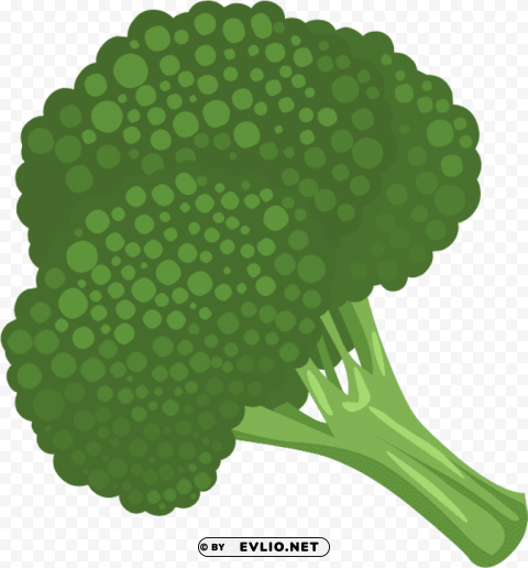 green vegetable Transparent Background Isolation in PNG Format