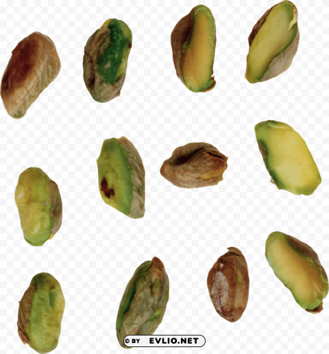 pistachios Transparent PNG vectors