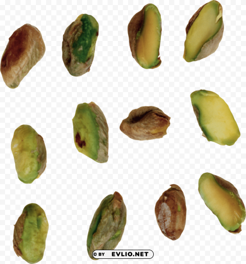 Pistachios Transparent PNG Vectors