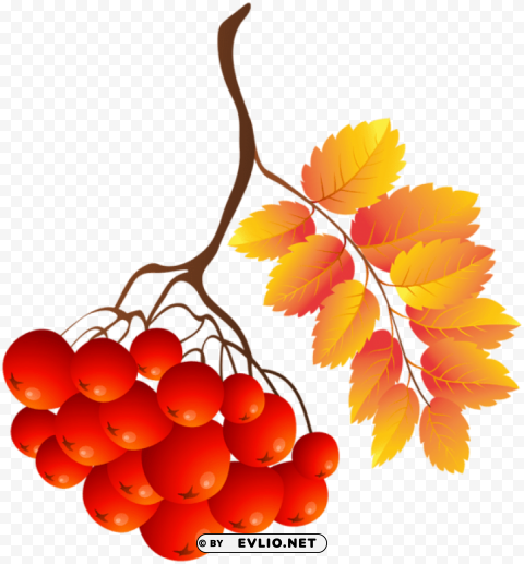 Fall Plant Clear Background Isolation In PNG Format