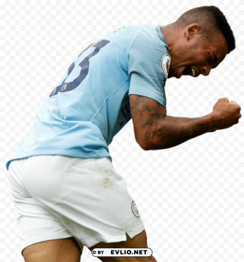 Gabriel Jesus PNG Free Download Transparent Background