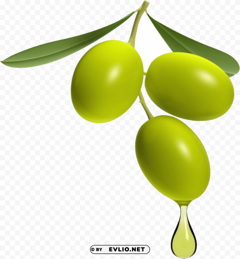 olives PNG files with no background wide assortment
