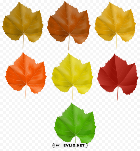 set autumn leaves Isolated Design Element on Transparent PNG