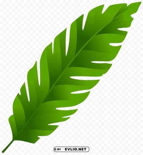 Green Leaf PNG Graphics For Free