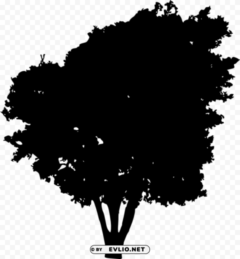 Tree Silhouette Transparent Background PNG Isolated Item