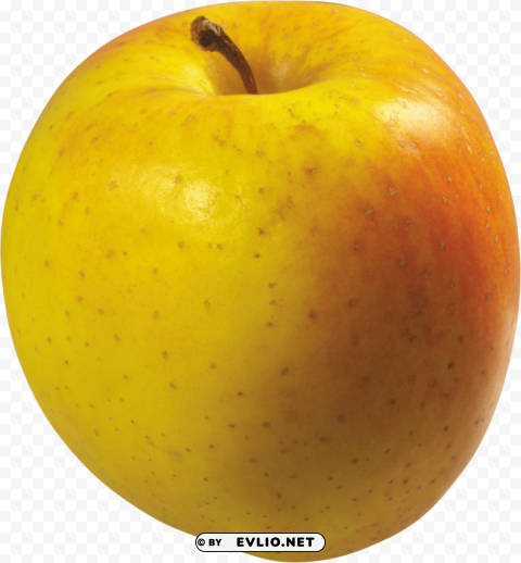 Yellow Apples PNG Files With No Backdrop Wide Compilation