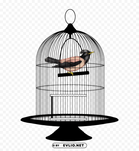 Bird Cage PNG transparent designs for projects