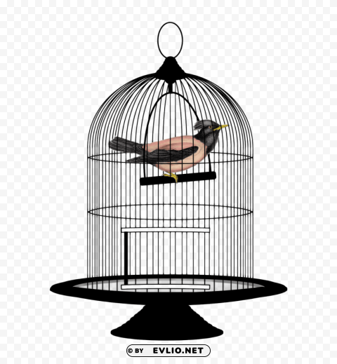 Cage Bird PNG Image Isolated On Clear Backdrop