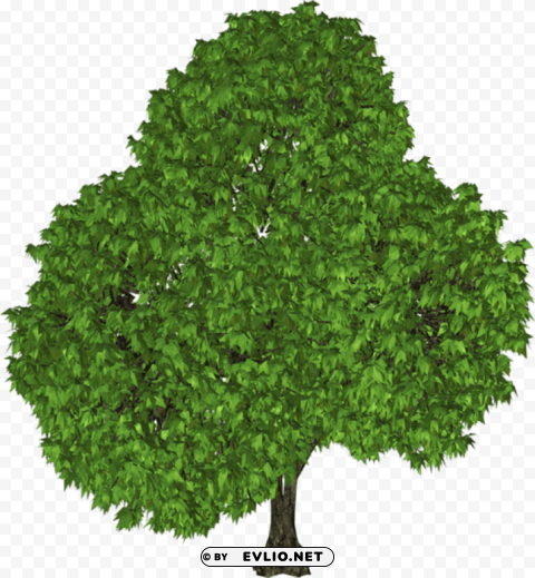 green tree Isolated Object on Transparent Background in PNG