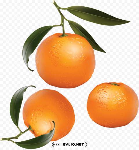 mandarin PNG photos with clear backgrounds