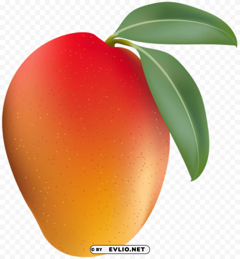 mango Transparent PNG images for graphic design