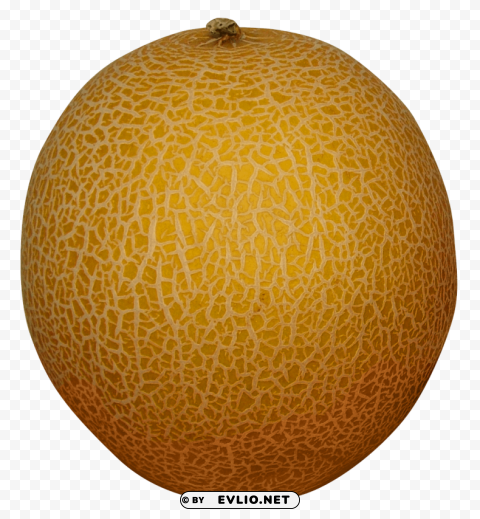 Melon Isolated Subject in Transparent PNG