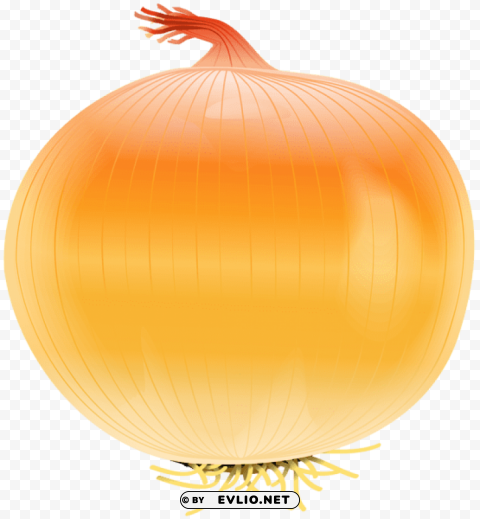 onion free Isolated Subject in Transparent PNG Format