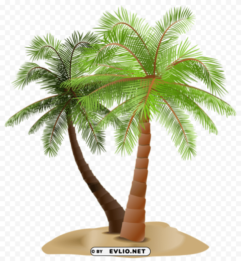 palms in sand Isolated Artwork on HighQuality Transparent PNG