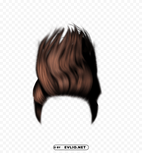  Hairstyle S PNG File With Alpha