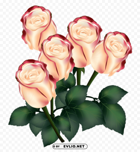 Roses Isolated Character In Clear Background PNG