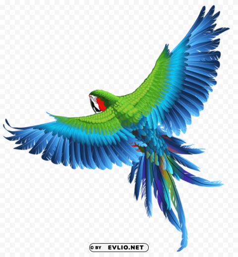 Transparent Parrotpicture ClearCut Background PNG Isolated Item