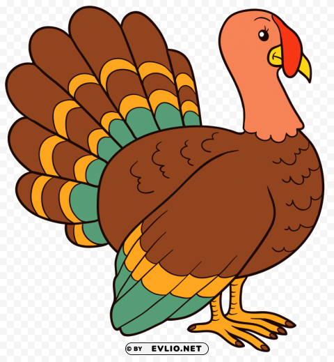 turkey image Isolated Graphic with Transparent Background PNG
