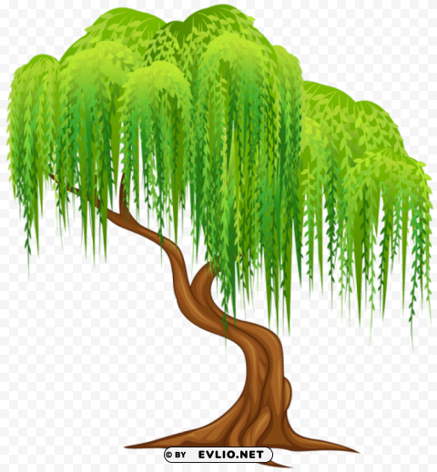 Willow Tree Transparent PNG Images With No Background Comprehensive Set