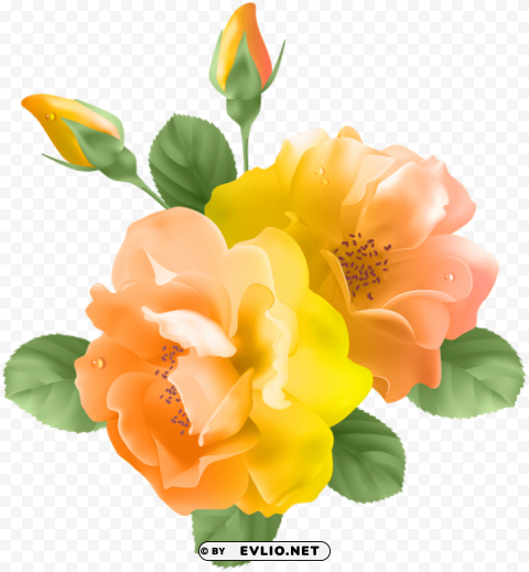yellow orange rose PNG with Isolated Transparency