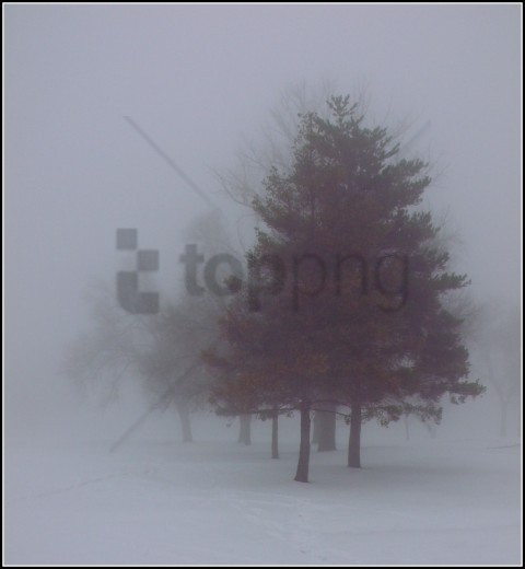 color fog Isolated Subject in HighResolution PNG