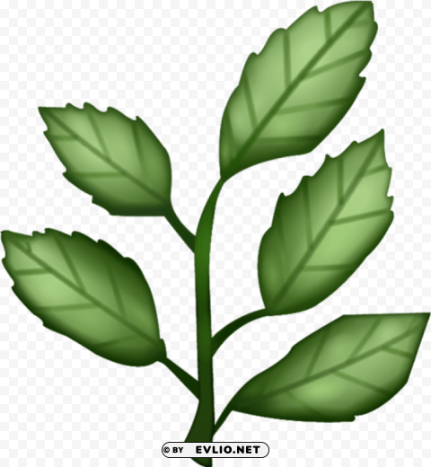 PNG image of herb Transparent PNG images for printing with a clear background - Image ID c07e6c13