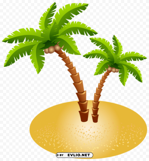 palms and sand transparent PNG files with no background wide assortment