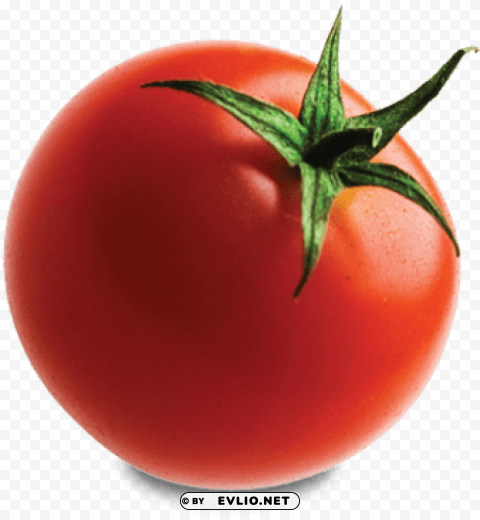 tomato with no background Transparent PNG Isolated Design Element