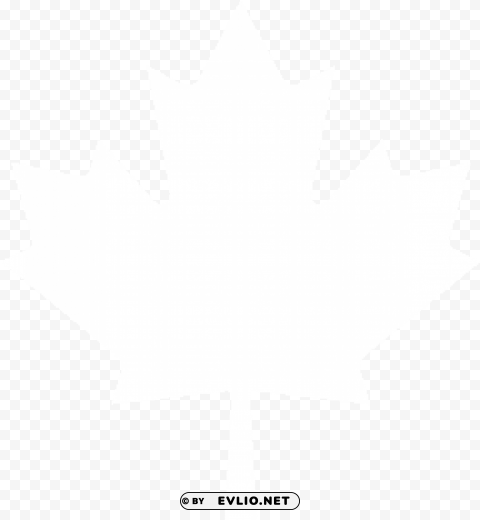 white maple leaf Transparent PNG Isolated Graphic with Clarity