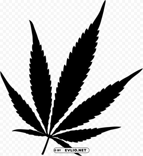 cannabis PNG with clear background set