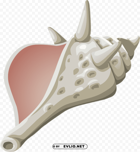 conch PNG files with transparent canvas extensive assortment