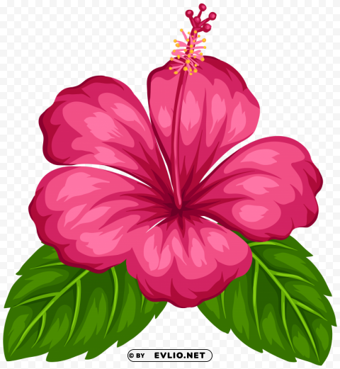 exotic flower PNG icons with transparency