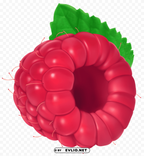 Raspberry PNG Images With Transparent Elements Pack