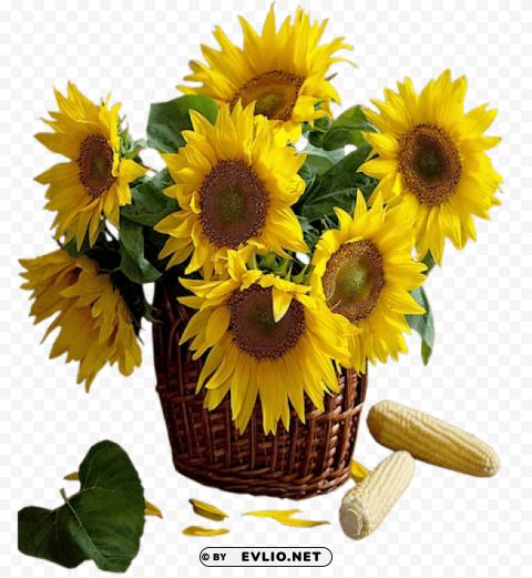 sunflowers in basket Transparent Background PNG Isolated Character