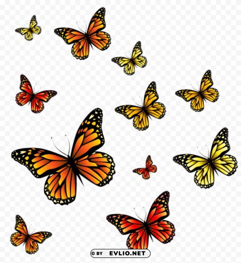 butterflies Free PNG images with alpha channel variety clipart png photo - 93304a0f