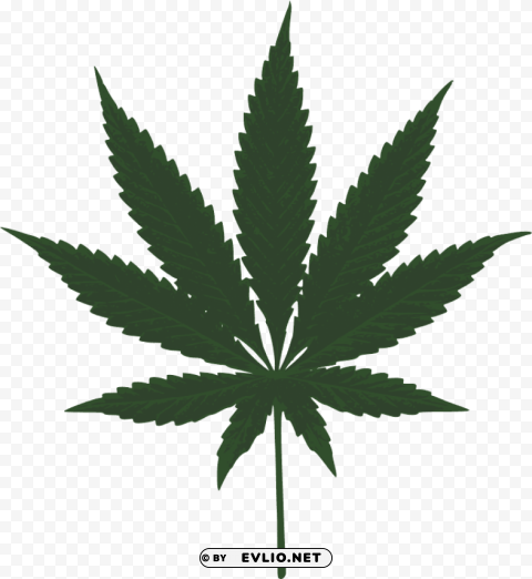 cannabis PNG with Transparency and Isolation