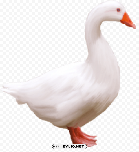 goose HighQuality PNG Isolated on Transparent Background