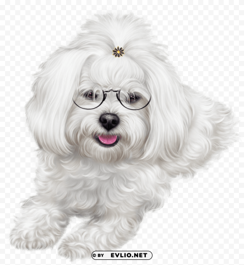 uppy clipart maltipoo - christmas puppy images clipart Isolated Graphic on Clear Background PNG