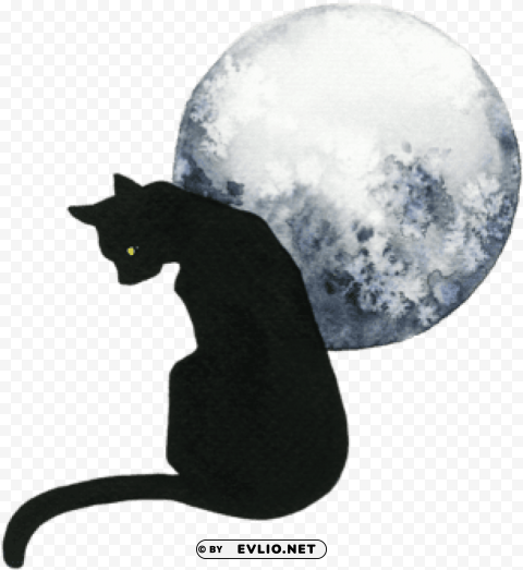 black cat PNG transparent elements compilation