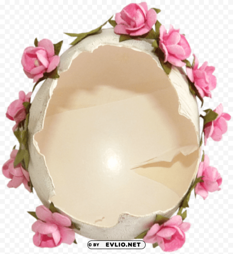eggs Transparent PNG Isolated Artwork