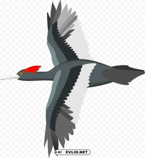 Flying Bird Vector PNG Images With No Background Essential