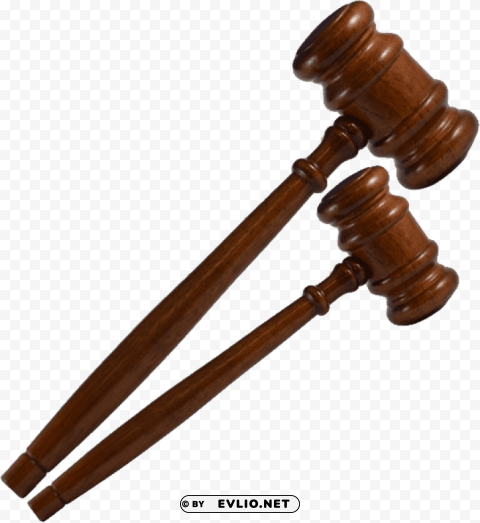 gavel Isolated Character in Transparent Background PNG