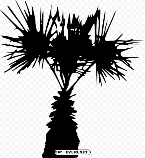 Palm Tree Isolated Icon In HighQuality Transparent PNG