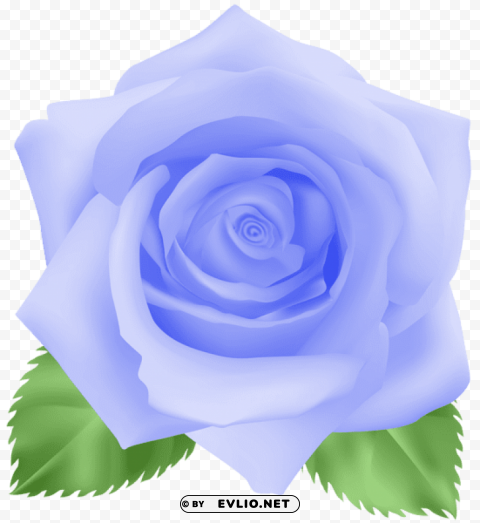 rose blue PNG images with no royalties