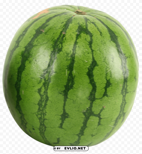 Watermelon PNG free download transparent background