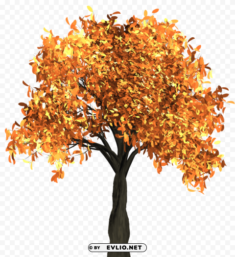 autumn tree Isolated Design Element in Clear Transparent PNG