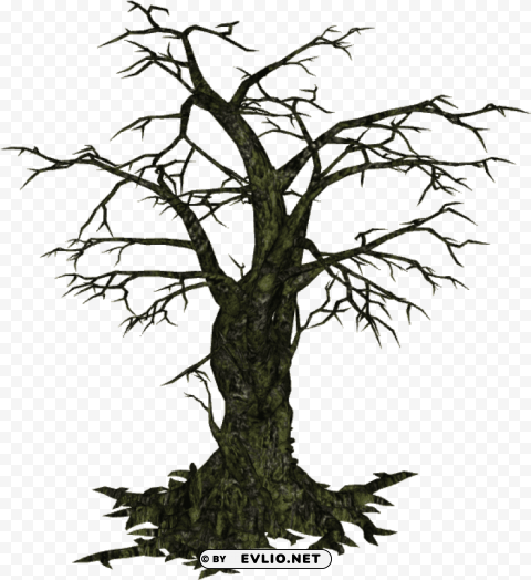 creepy tree PNG images with no background comprehensive set