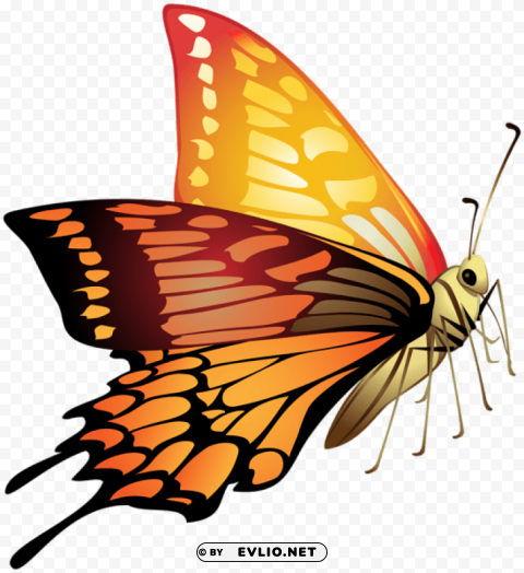 orange butterfly Isolated Design in Transparent Background PNG