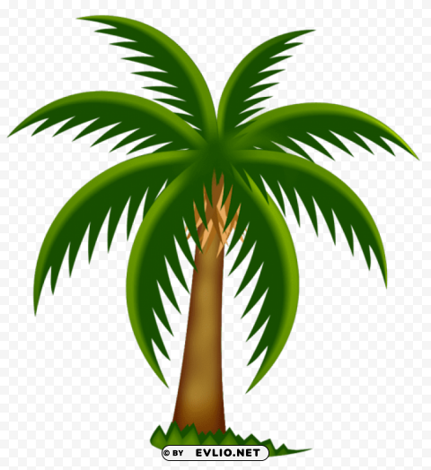 Painted Palm Tree Transparent PNG Images For Graphic Design